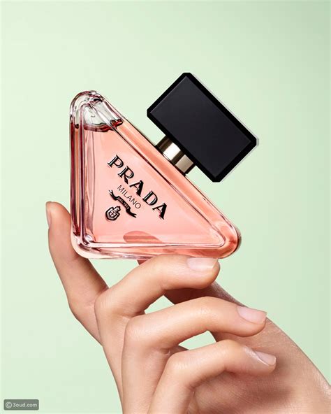 parfum prada paradoxe femme|prada paradoxe echo.